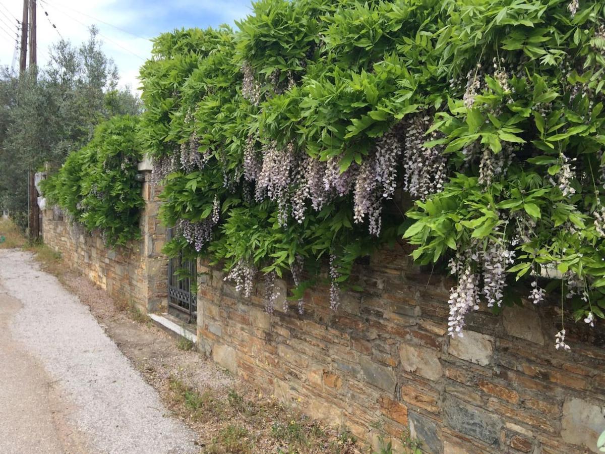 Villa Liana Sourpi Eksteriør bilde