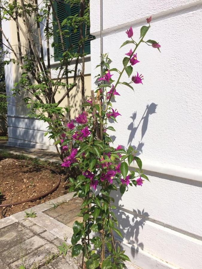 Villa Liana Sourpi Eksteriør bilde